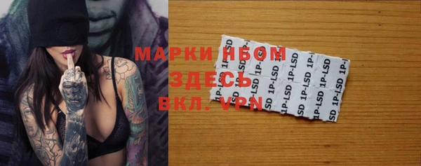 мяу мяу кристалл Корсаков