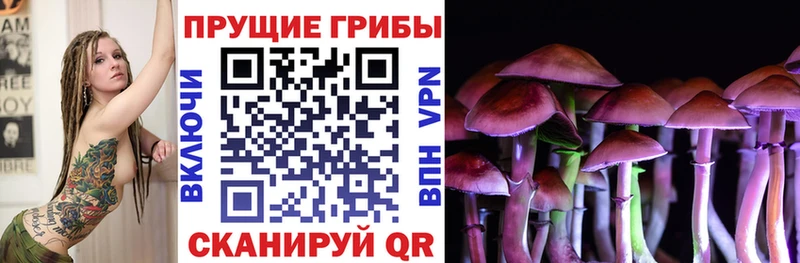 Купить где  Свободный  Галлюциногенные грибы GOLDEN TEACHER 